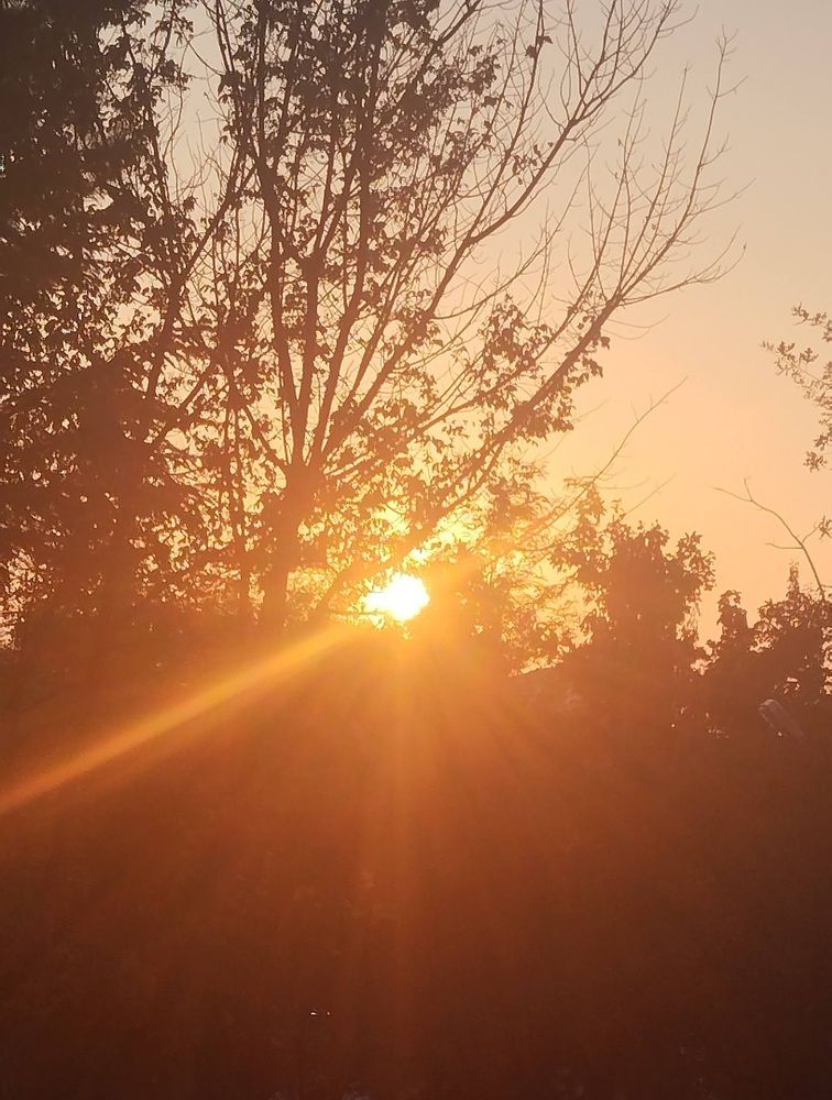 Photograph by Gülçin Çete