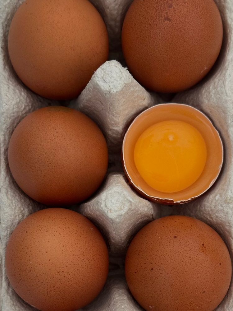 Фотография автора Анастасия