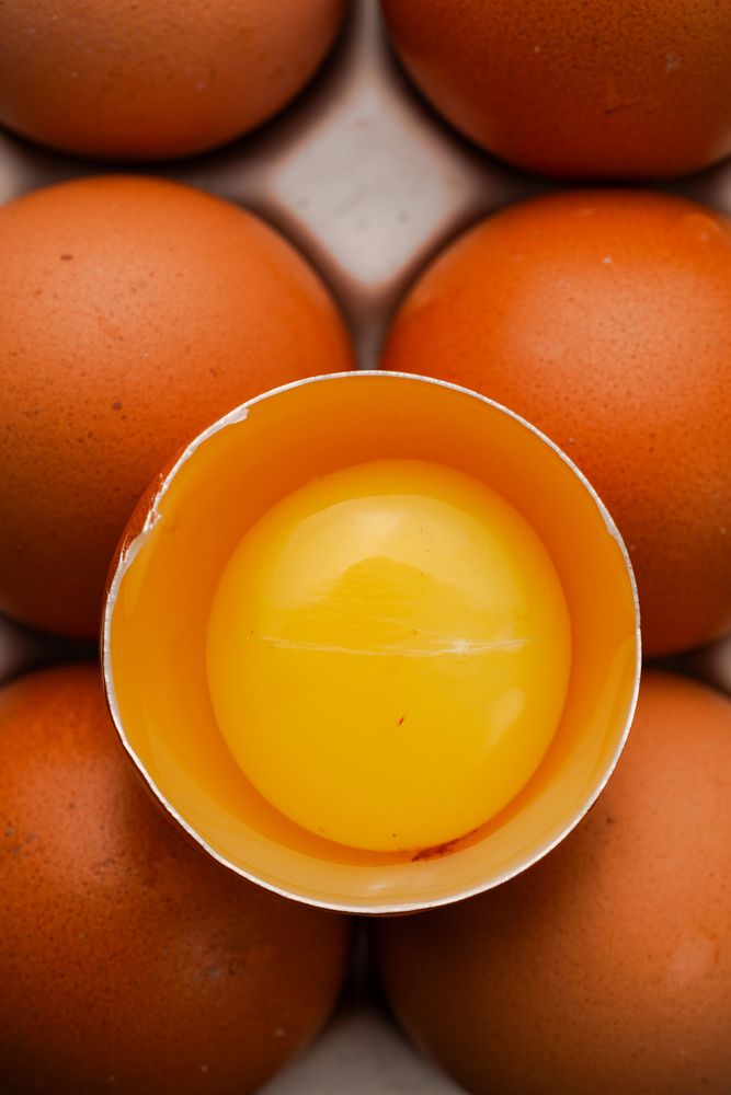 Фотография автора Zhenia Vladimirova