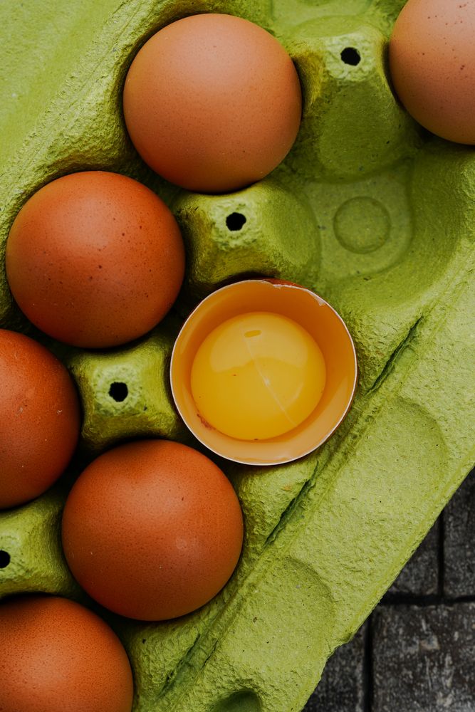 Фотография автора Zhenia Vladimirova