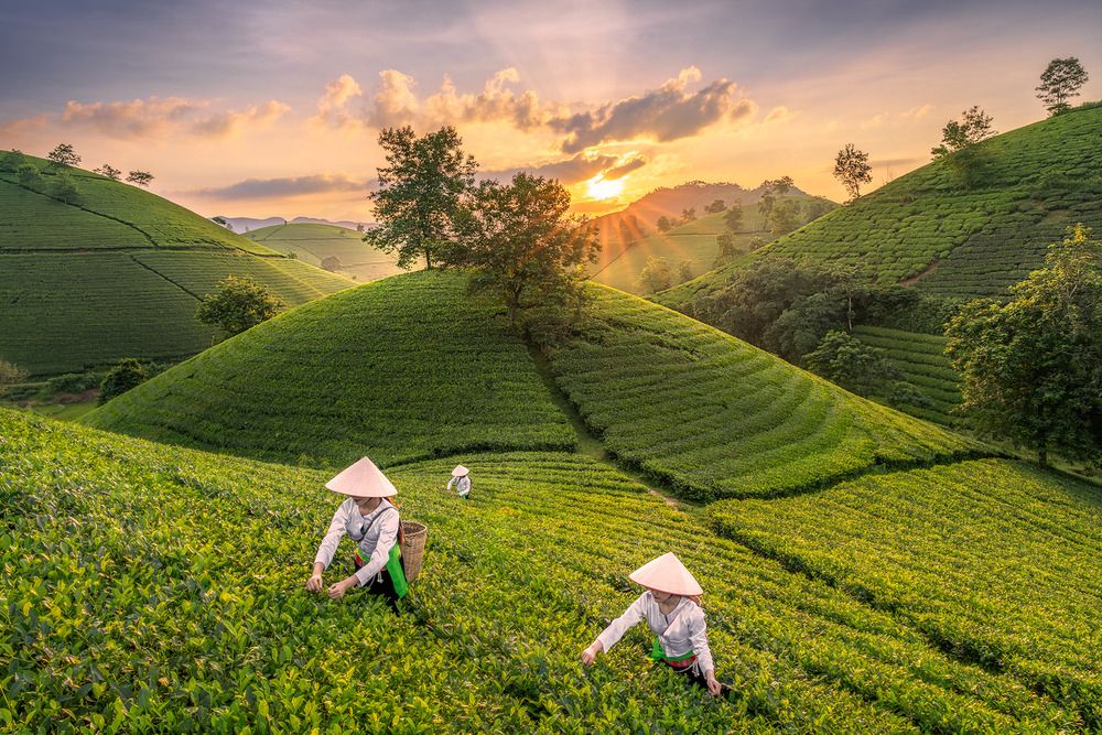 Photograph by Đạo Hoàng