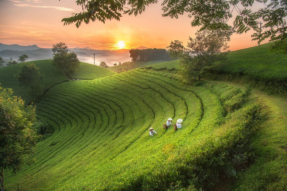 Photograph by Đạo Hoàng