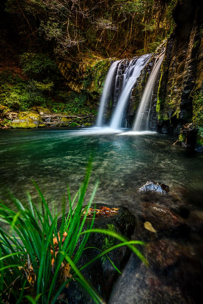 Фотография автора Uesan Aliace