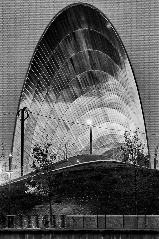 Фотография автора TOTORO