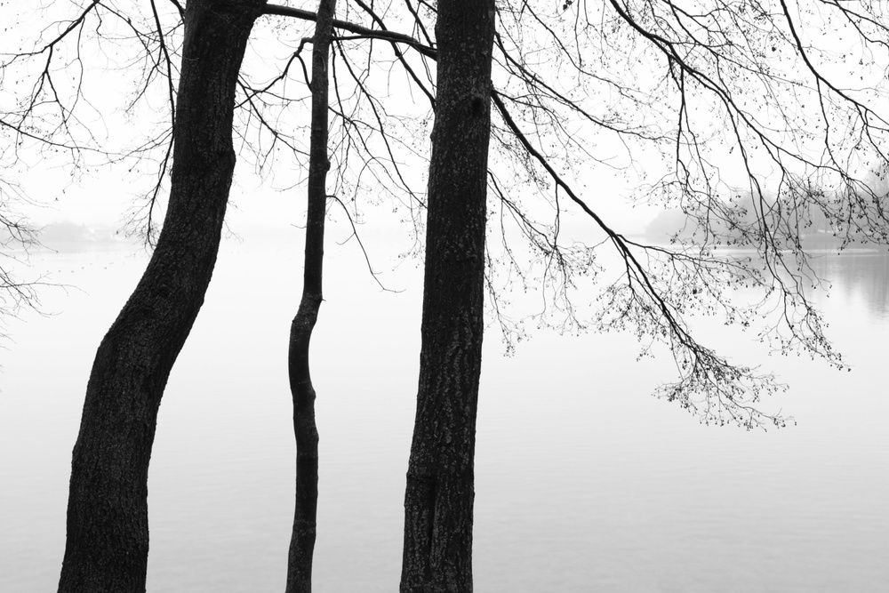 Photograph by Елена