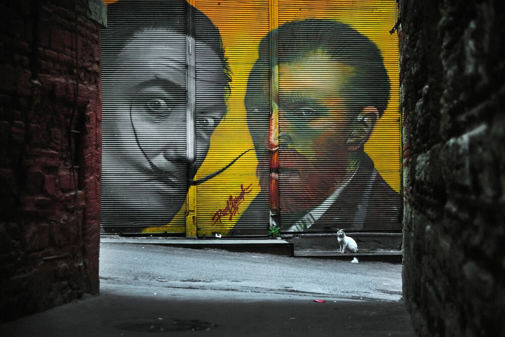 Photograph by Tanya Kaynak