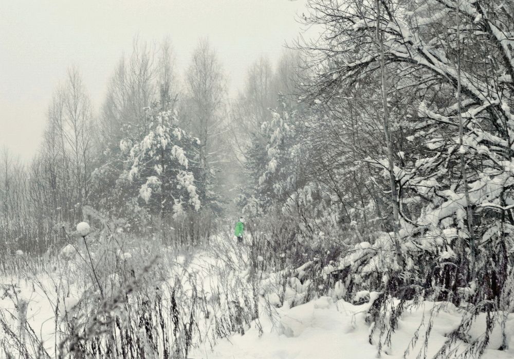 Фотография автора Е лена Е