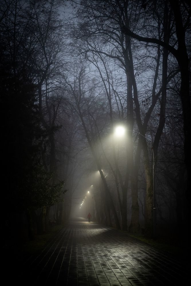 Photograph by Dmitry BESPAMIATNYI