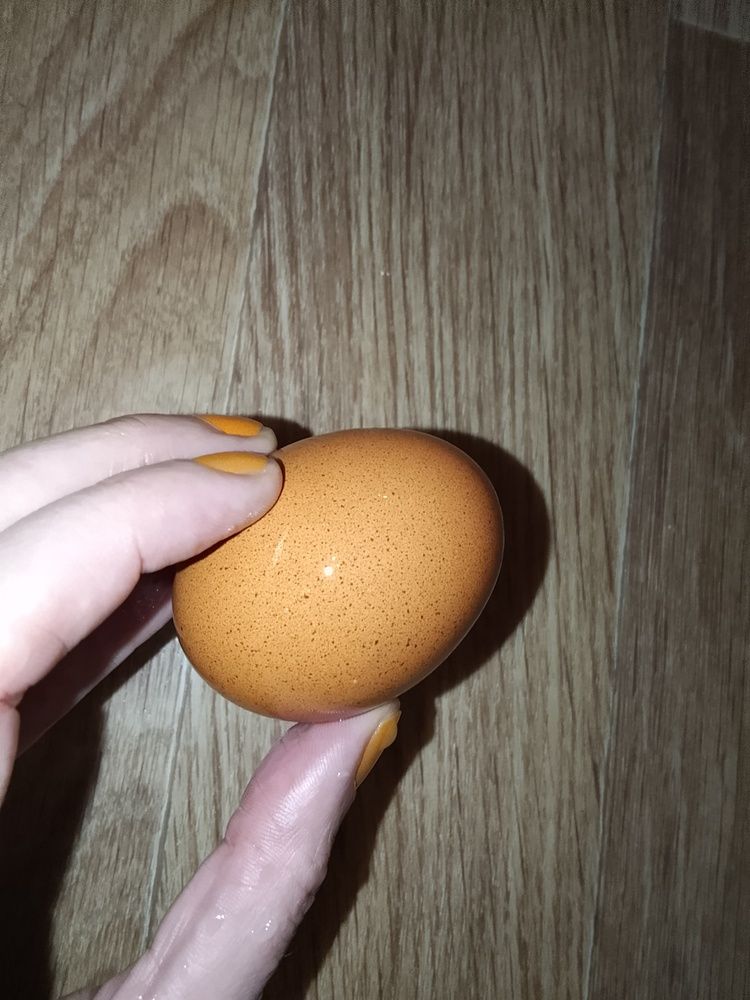 Photograph by Irina Mihailovskaya