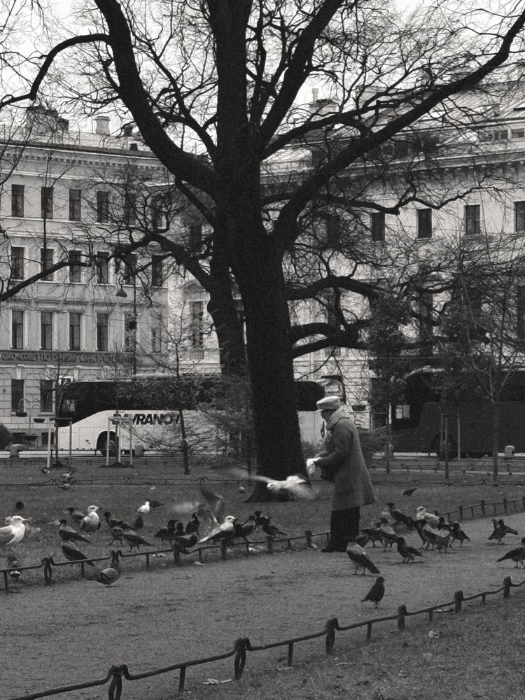 Photograph by Елена Михалева