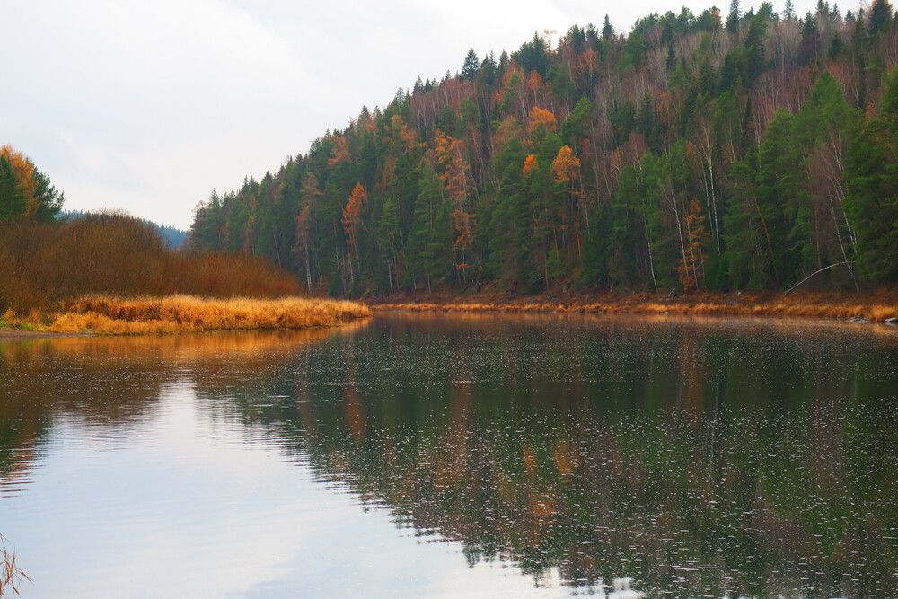 Photograph by Орл Про