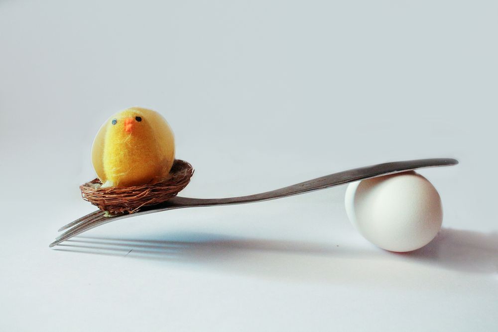 Фотография автора KattyFox