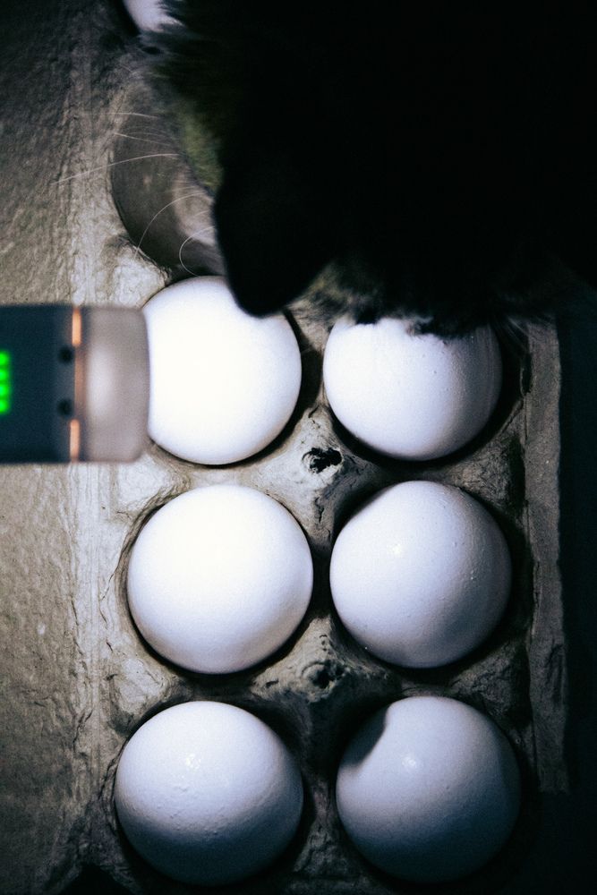 Photograph by Юлия Сысоева