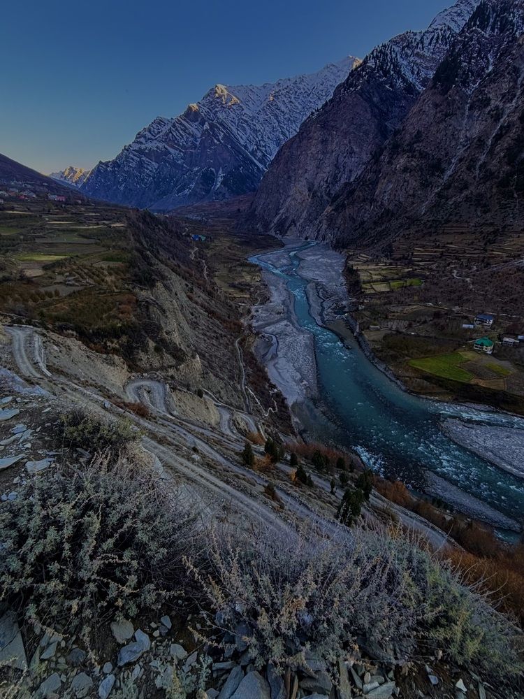 Photograph by Dr Manoj Ranjan