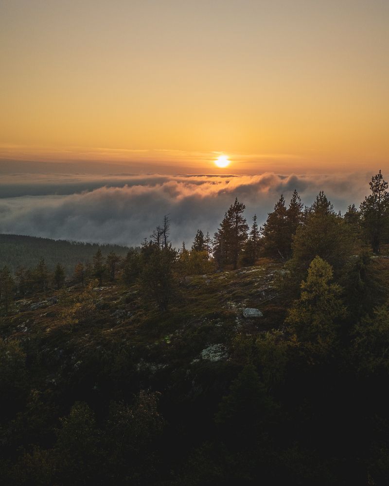 Photograph by Андрей Уваров