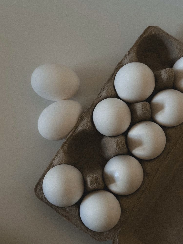 Фотография автора Анастасия