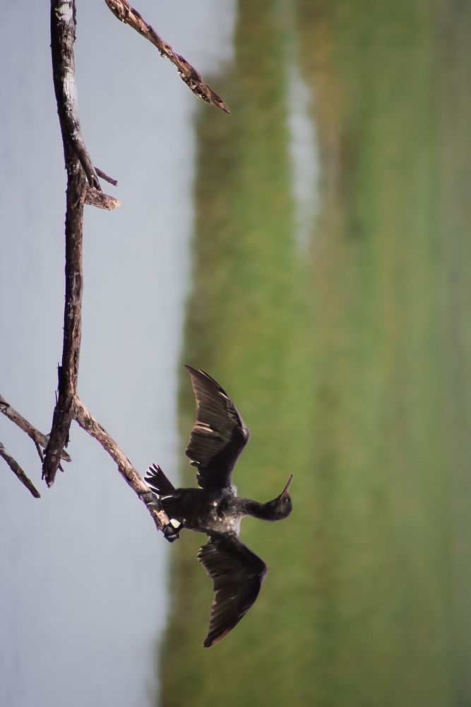 Photograph by Kishan Upadhyay