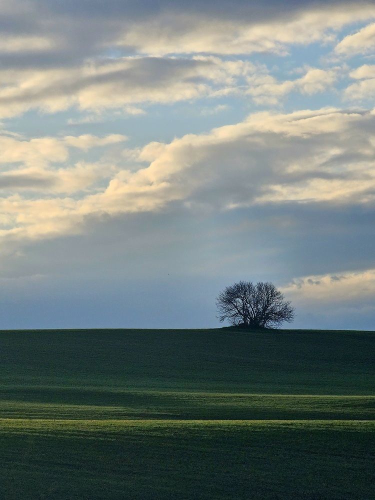 Photograph by Андрей Колесников