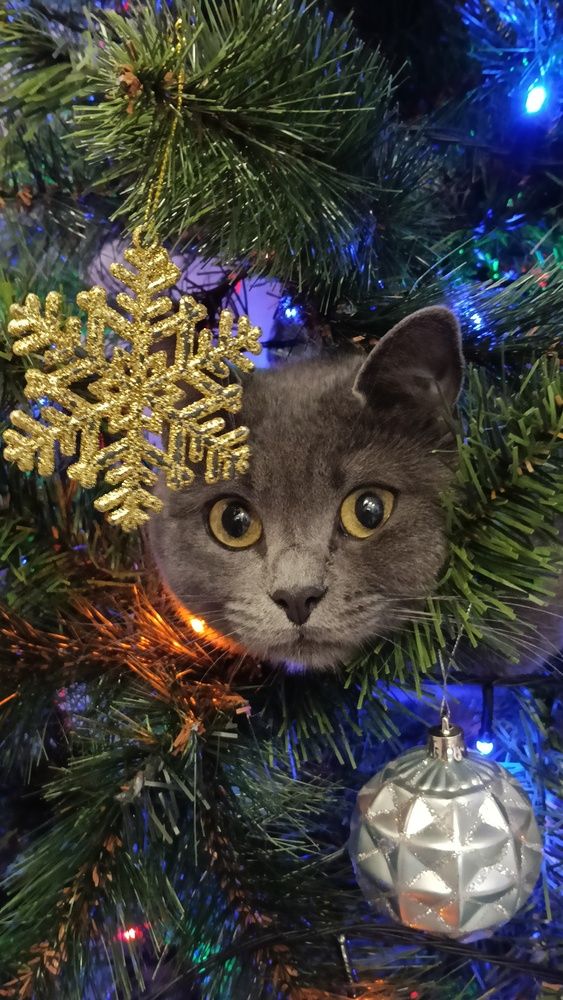 Милая \"новогодняя игрушка\"