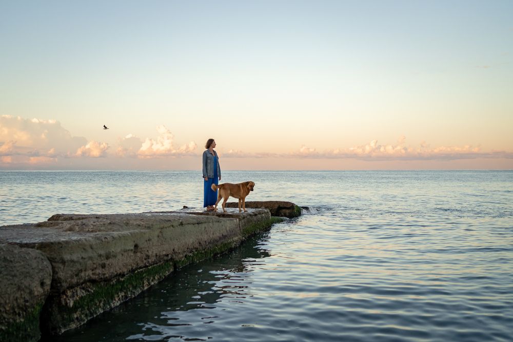 Photograph by Варвара Сорока