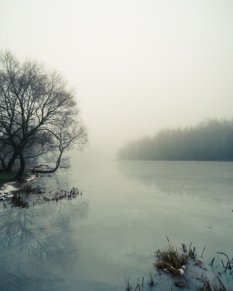Photograph by Колесенко Иван
