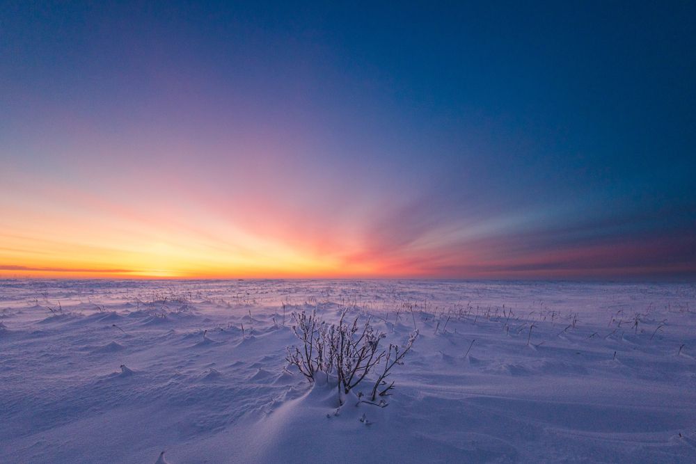 Фотография автора Антон Дроздов