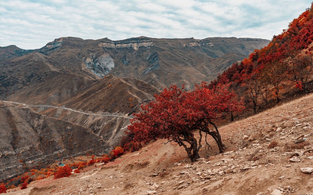Photograph by Наталия Дмитриева