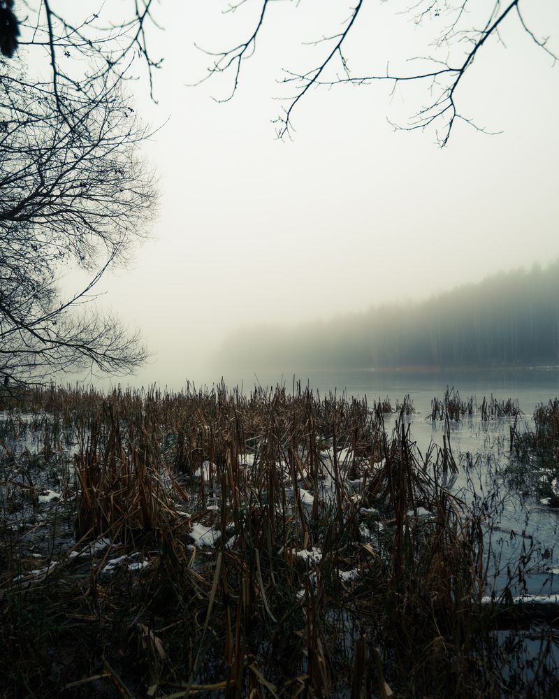 Photograph by Колесенко Иван