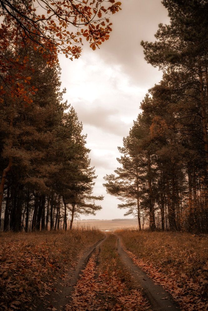 Photograph by Павел Васяев