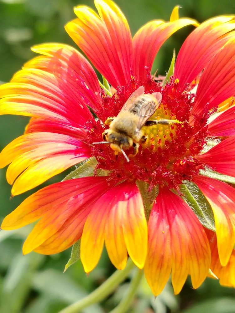Photograph by Надежда Чаплынская