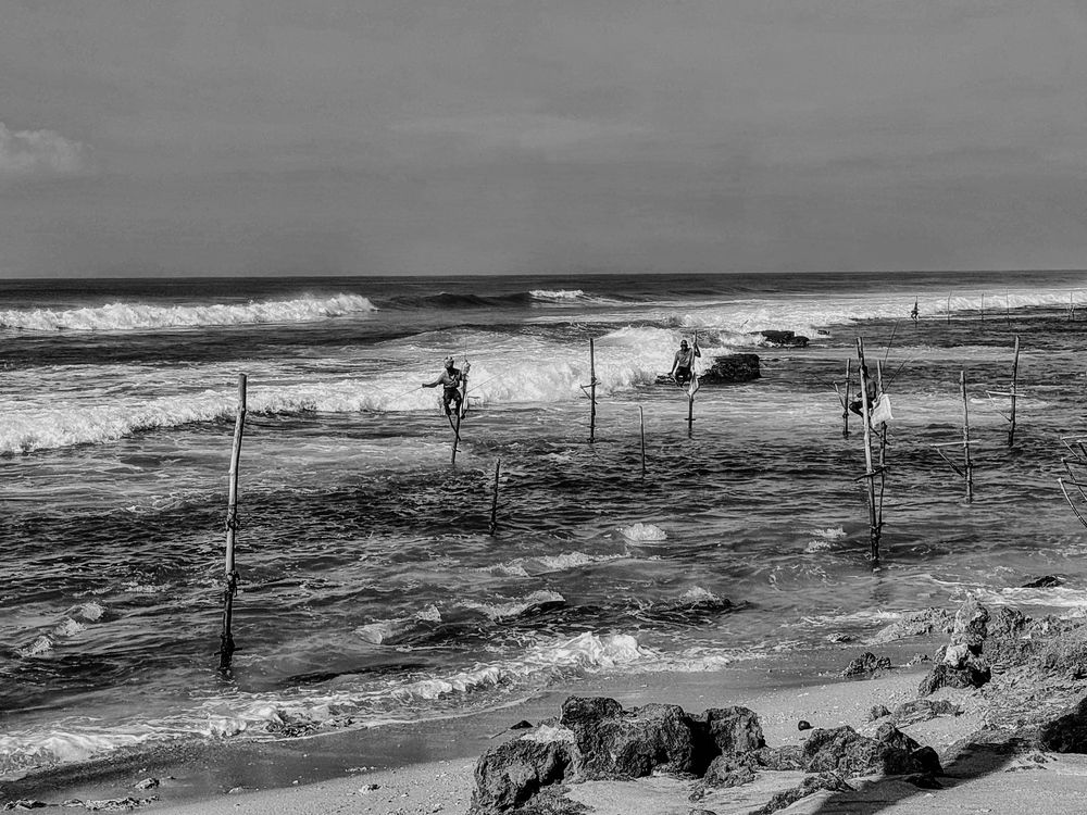 Фотография автора Евгения Никишина