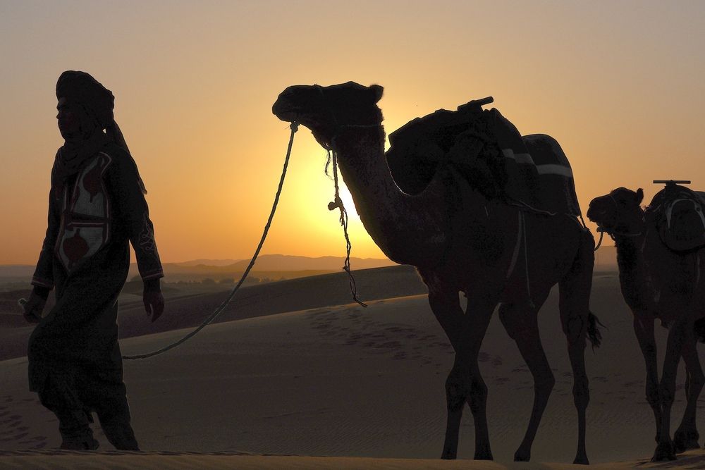 Фотография автора Голубков Леонид