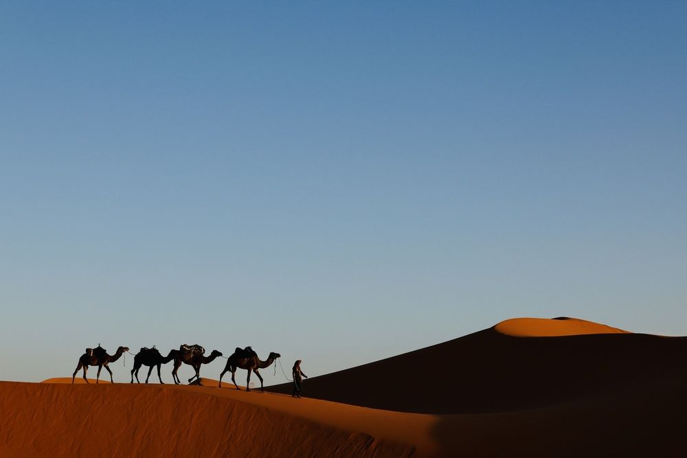 Фотография автора Голубков Леонид