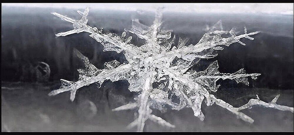 Up close snowflake