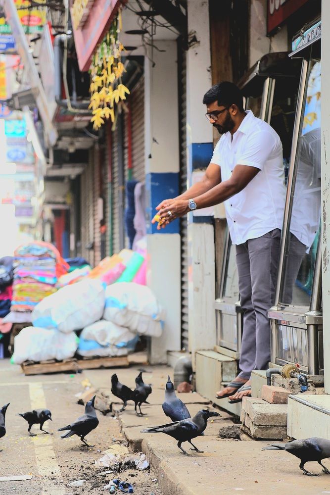 Morning pettah