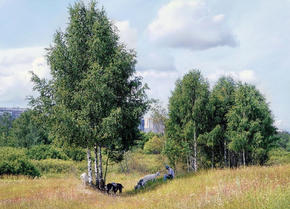 Фотография автора Е лена Е