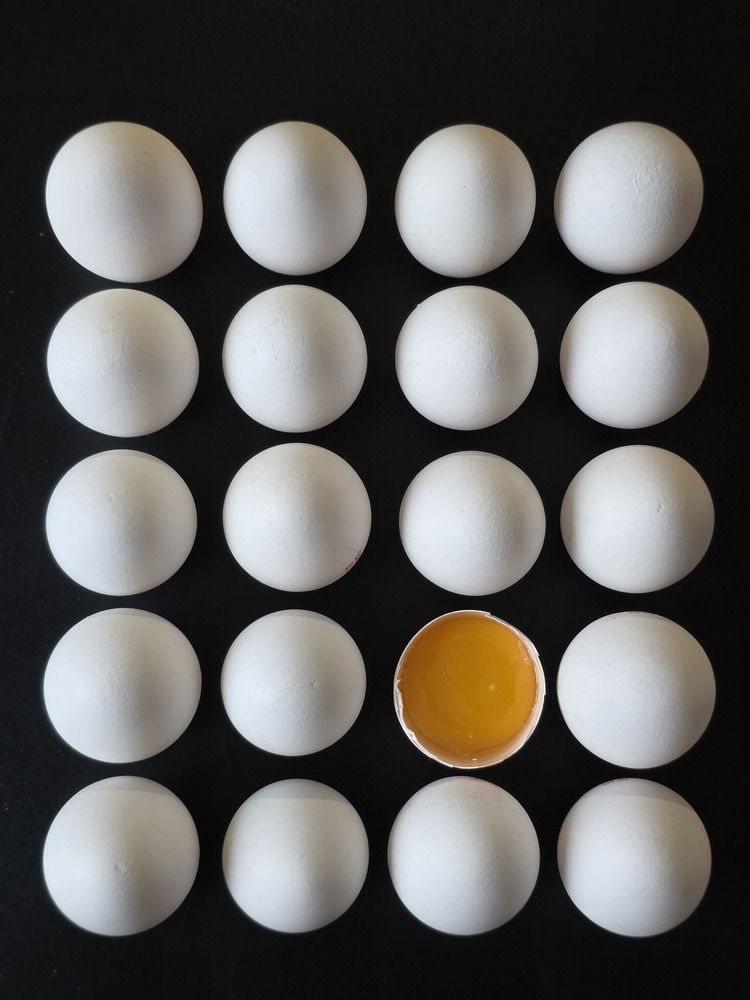 Photograph by Елена Ибрагимова