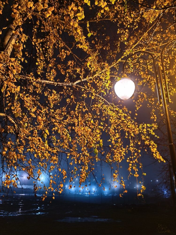 Photograph by Екатерина Федорова