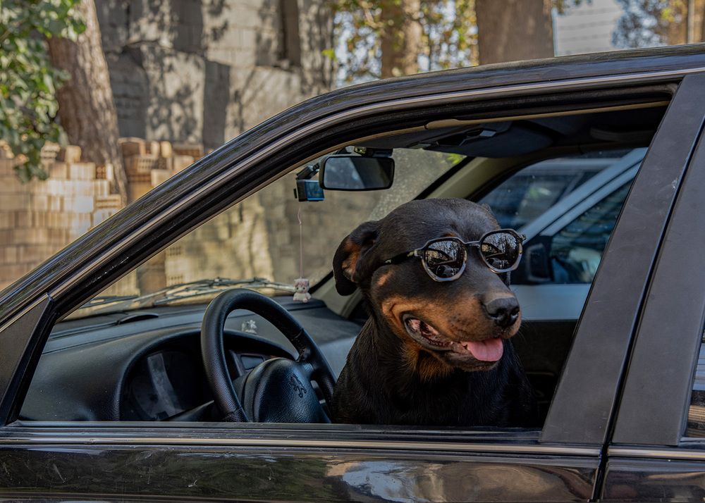 Photograph by shahla kalantary
