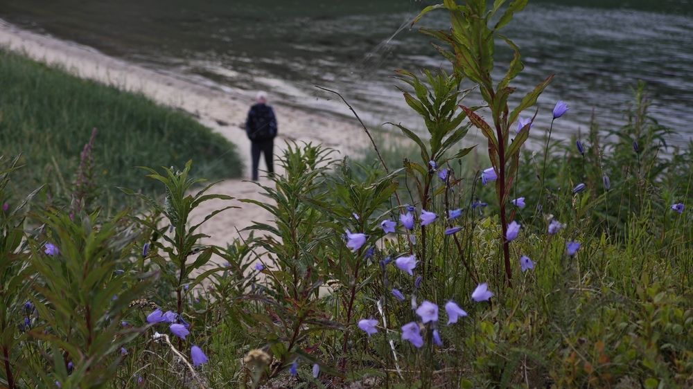Фотография автора Наташа Данилова