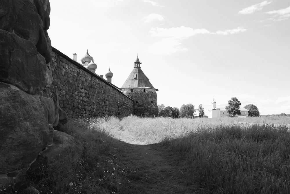 Фотография автора Сергей Тимофеев