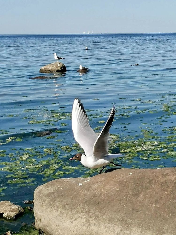 Photograph by Наталья Гузева