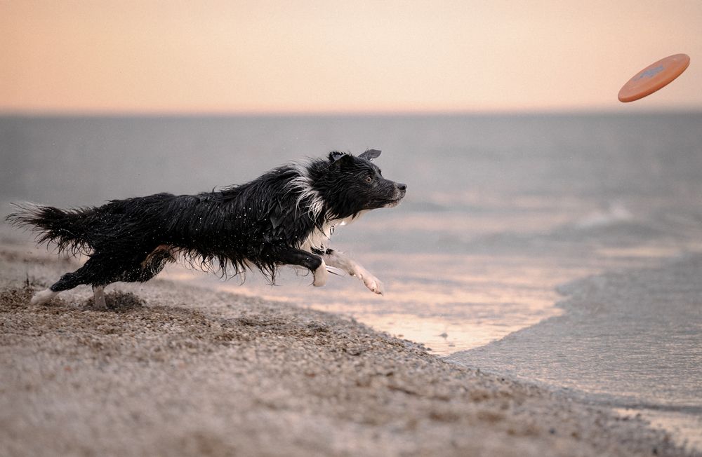 Photograph by Марина Чеботарева