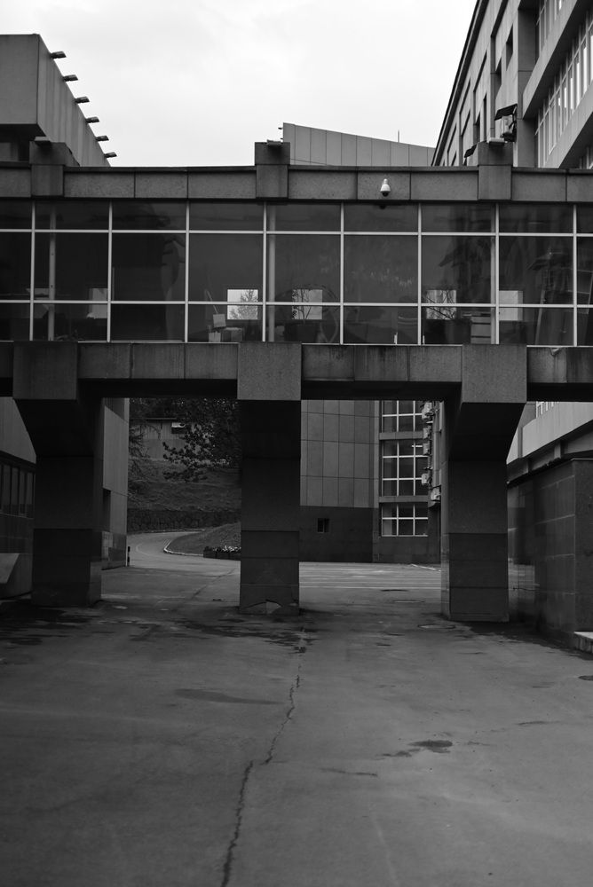 Фотография автора Алена Чалышева