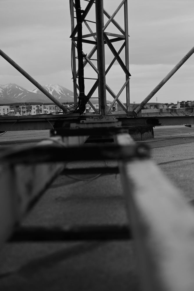 Фотография автора Алена Чалышева