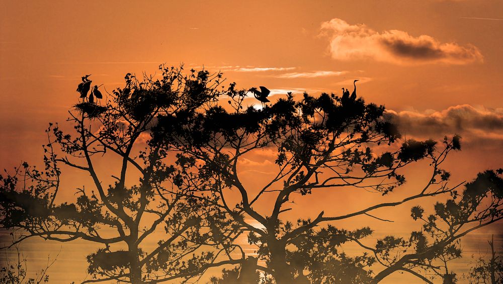 Фотография автора Jeff Cooley