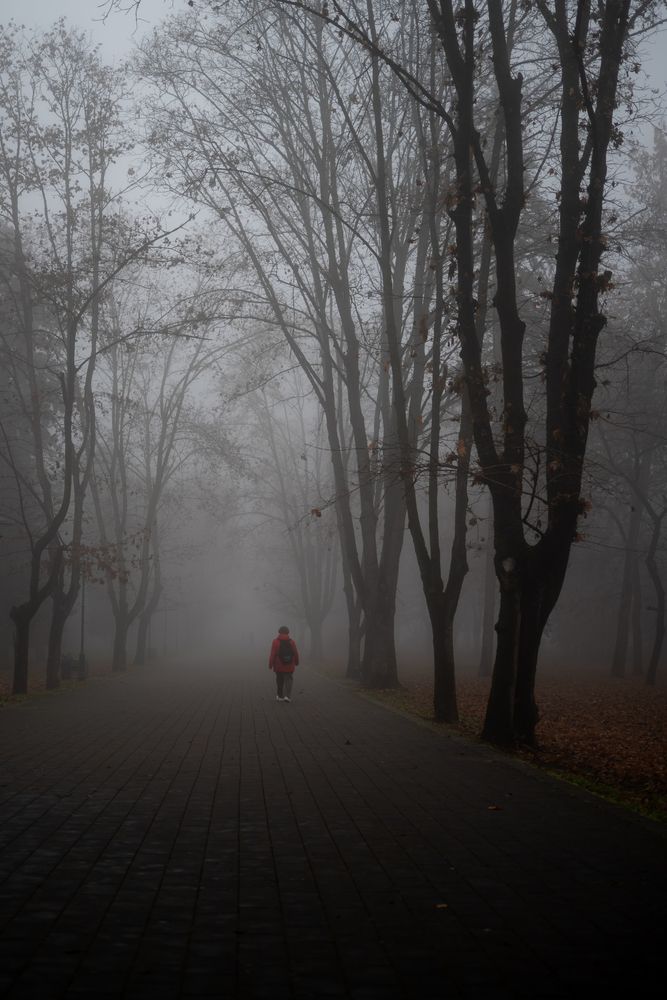 Photograph by BESPAMIATNYI Dmitry