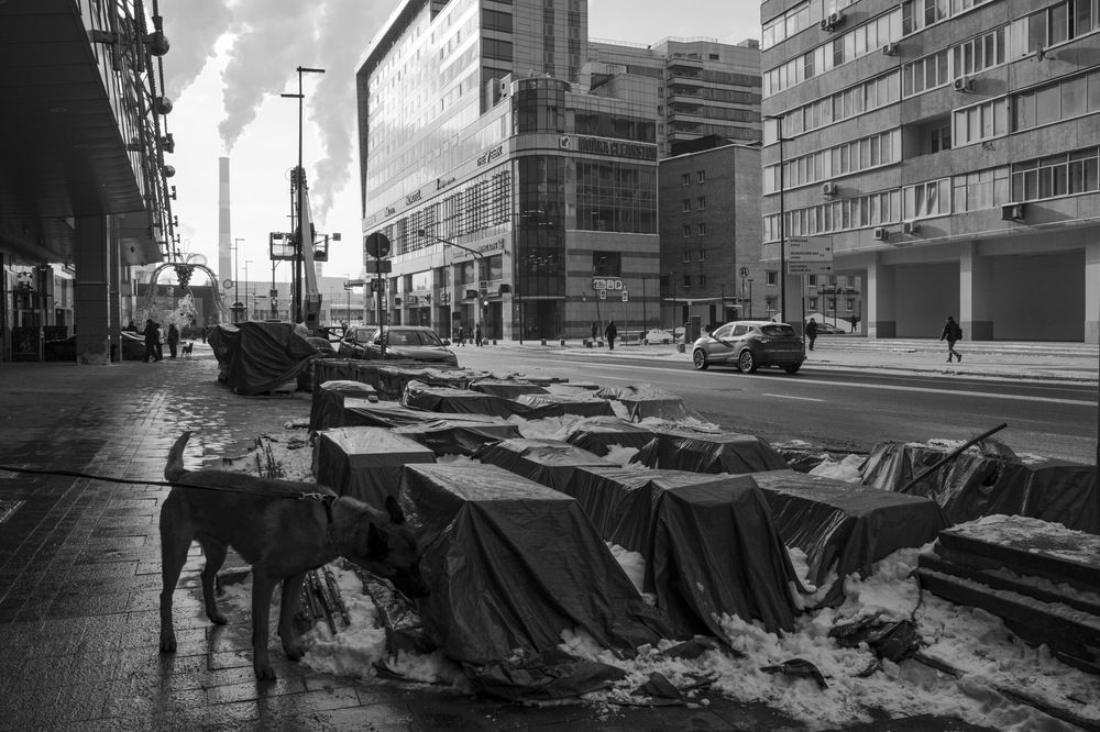 Photograph by Машевский Владимир