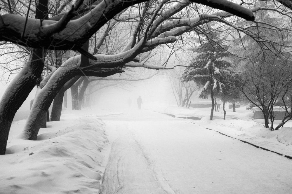 Photograph by Михаил Дронов