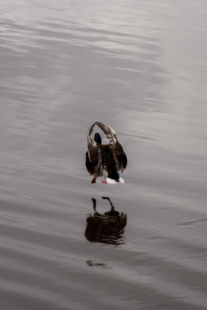 Фотография автора Бугаев Олег